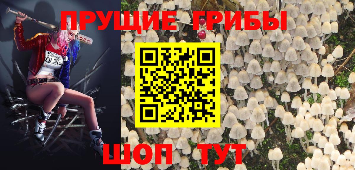 Галлюциногенные грибы прущие грибы  Вход с VPN  Соликамск 