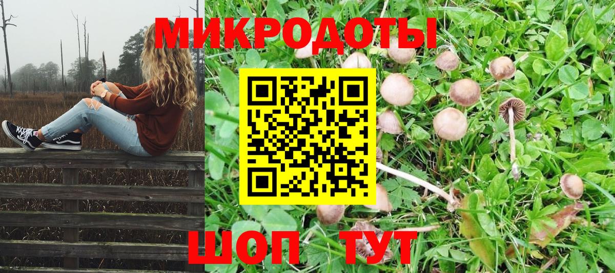 Псилоцибиновые грибы GOLDEN TEACHER Соликамск