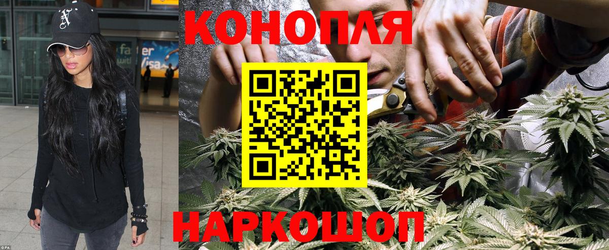 Соликамск  Бошки Шишки OG Kush  Вход с VPN  Шишки марихуана сатива 